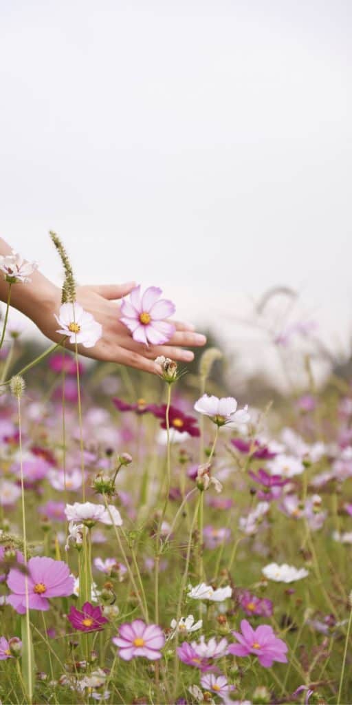 fleurs_aimant_vivre_sa_mission